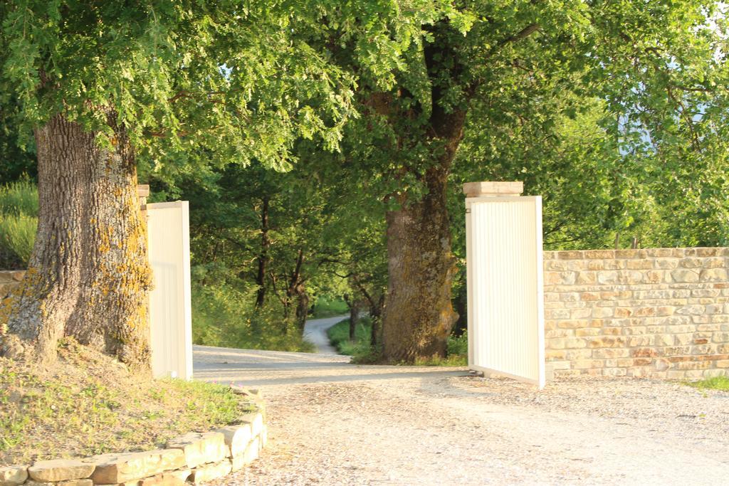 Amico Country House Serra San Quirico Zewnętrze zdjęcie