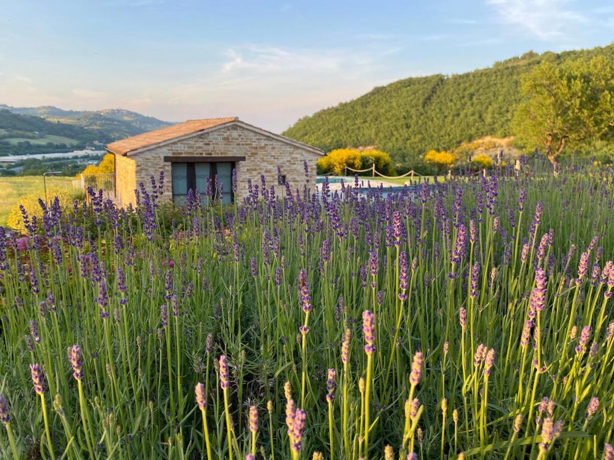 Amico Country House Serra San Quirico Zewnętrze zdjęcie
