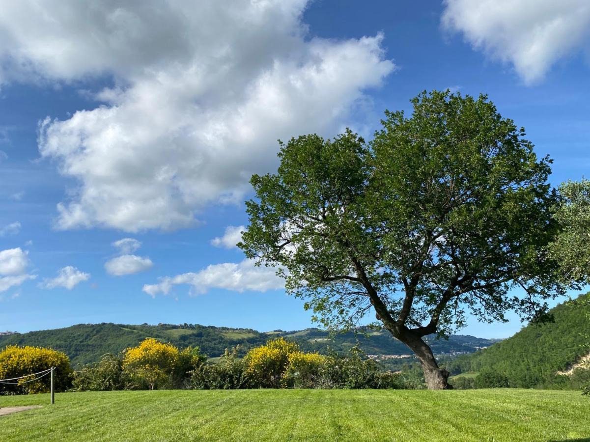 Amico Country House Serra San Quirico Zewnętrze zdjęcie